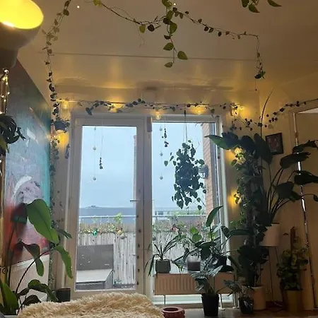 Central And Cozy Urban Jungle - Full * Oslo